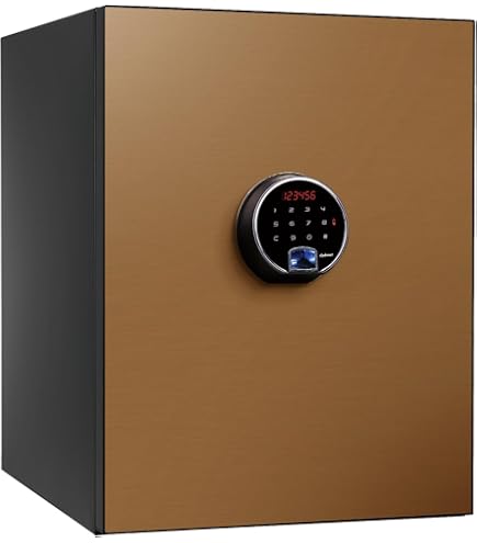 Amazon.co.jp: diplomat(ディプロマット) 60分耐火プレミアム金庫